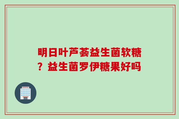 明日叶芦荟益生菌软糖？益生菌罗伊糖果好吗