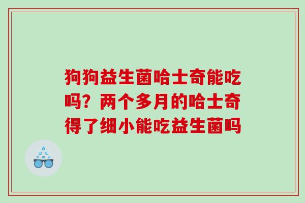 狗狗益生菌哈士奇能吃吗？两个多月的哈士奇得了细小能吃益生菌吗