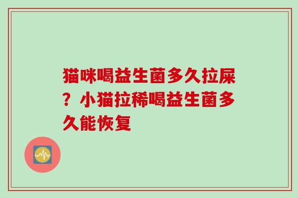 猫咪喝益生菌多久拉屎？小猫拉稀喝益生菌多久能恢复