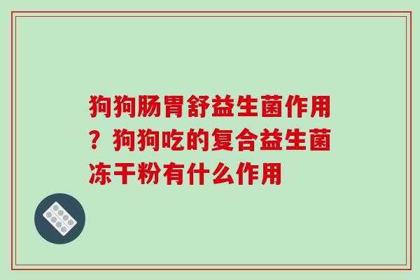 狗狗肠胃舒益生菌作用？狗狗吃的复合益生菌冻干粉有什么作用