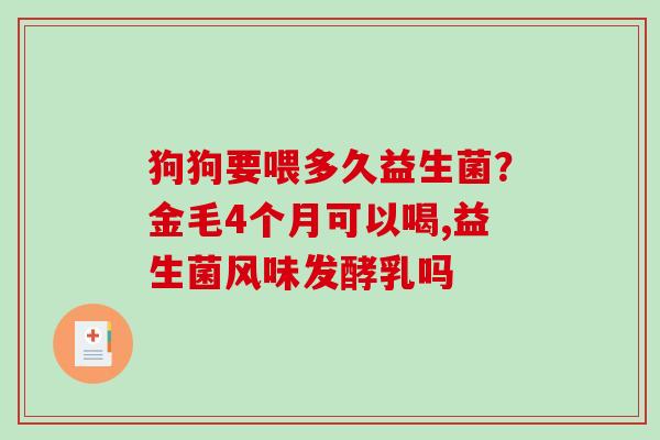 狗狗要喂多久益生菌？金毛4个月可以喝,益生菌风味发酵乳吗