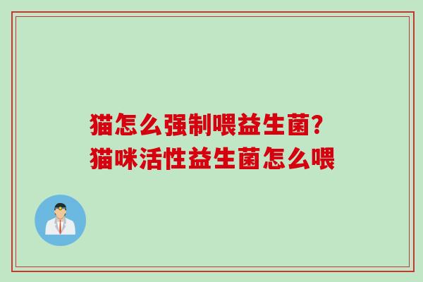 猫怎么强制喂益生菌？猫咪活性益生菌怎么喂