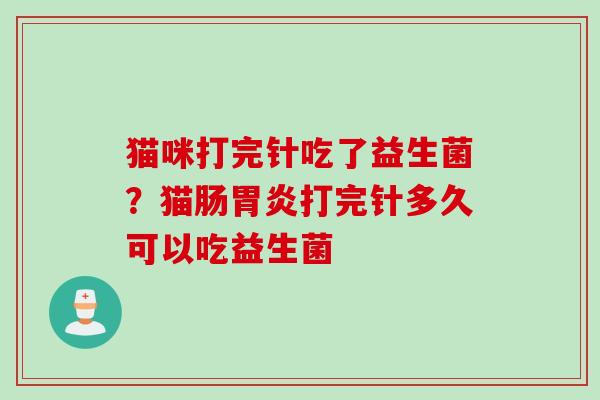 猫咪打完针吃了益生菌？猫肠打完针多久可以吃益生菌