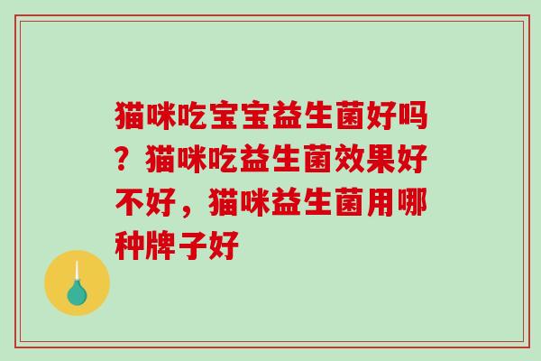 猫咪吃宝宝益生菌好吗？猫咪吃益生菌效果好不好，猫咪益生菌用哪种牌子好