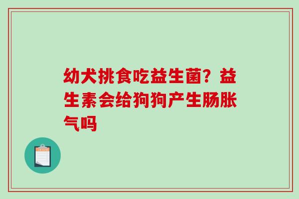 幼犬挑食吃益生菌？益生素会给狗狗产生肠胀气吗