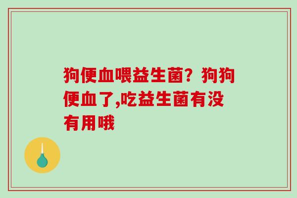 狗便血喂益生菌？狗狗便血了,吃益生菌有没有用哦