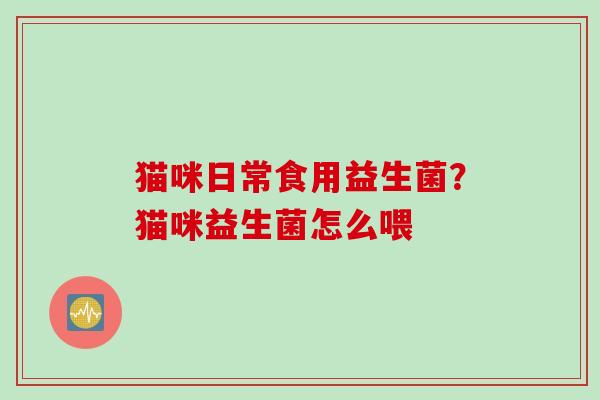猫咪日常食用益生菌？猫咪益生菌怎么喂