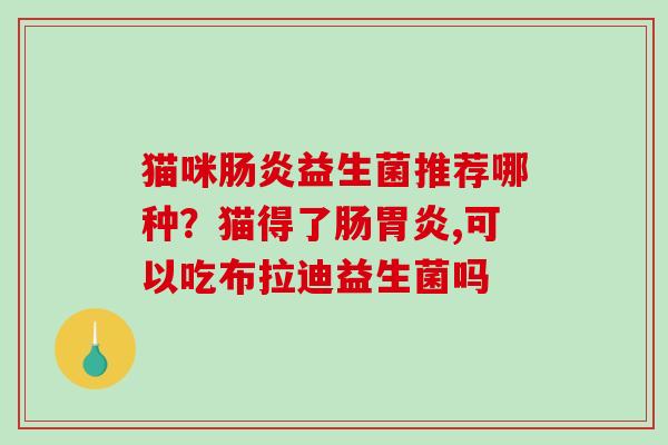 猫咪益生菌推荐哪种？猫得了肠,可以吃布拉迪益生菌吗