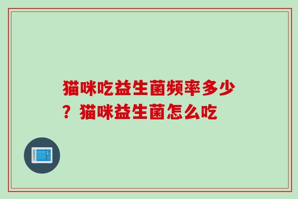 猫咪吃益生菌频率多少？猫咪益生菌怎么吃