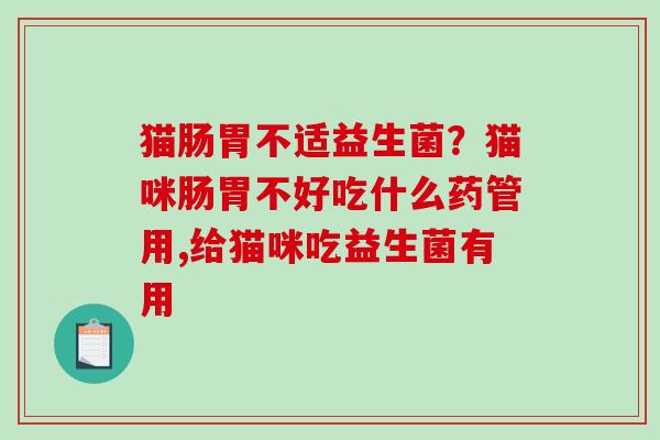 猫肠胃不适益生菌？猫咪肠胃不好吃什么药管用,给猫咪吃益生菌有用