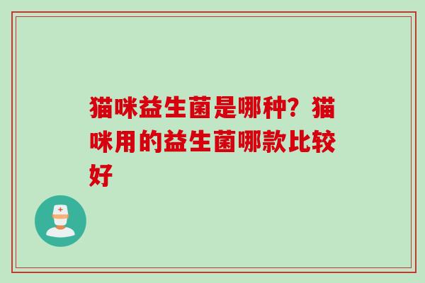 猫咪益生菌是哪种？猫咪用的益生菌哪款比较好