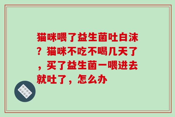 猫咪喂了益生菌吐白沫？猫咪不吃不喝几天了，买了益生菌一喂进去就吐了，怎么办