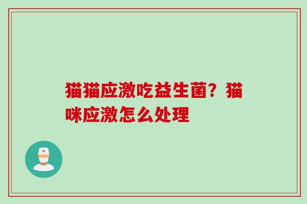 猫猫应激吃益生菌?猫咪应激怎么处理 猫猫应激吃益生菌?猫咪应激怎么处理