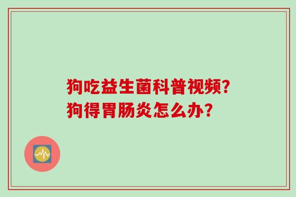 狗吃益生菌科普视频？狗得胃肠炎怎么办？