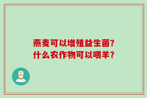 燕麦可以增殖益生菌？什么农作物可以喂羊？