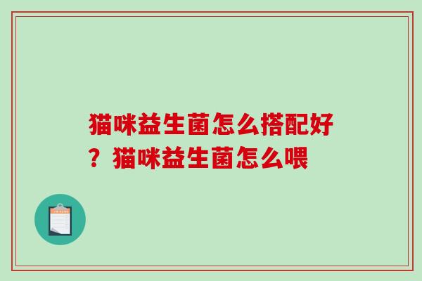 猫咪益生菌怎么搭配好？猫咪益生菌怎么喂