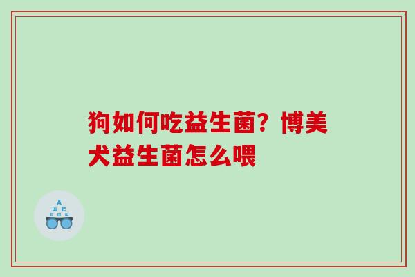 狗如何吃益生菌？博美犬益生菌怎么喂