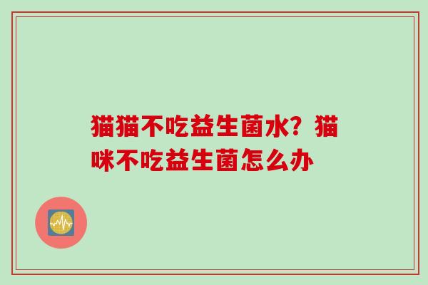 猫猫不吃益生菌水？猫咪不吃益生菌怎么办