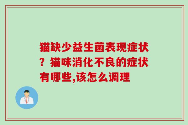 猫缺少益生菌表现症状？猫咪的症状有哪些,该怎么调理