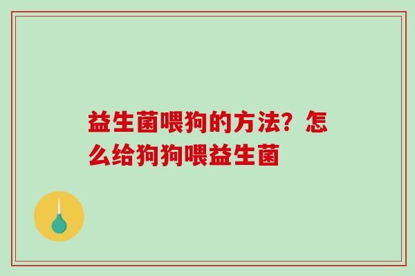 益生菌喂狗的方法？怎么给狗狗喂益生菌