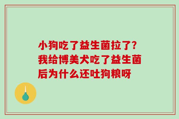 小狗吃了益生菌拉了？我给博美犬吃了益生菌后为什么还吐狗粮呀