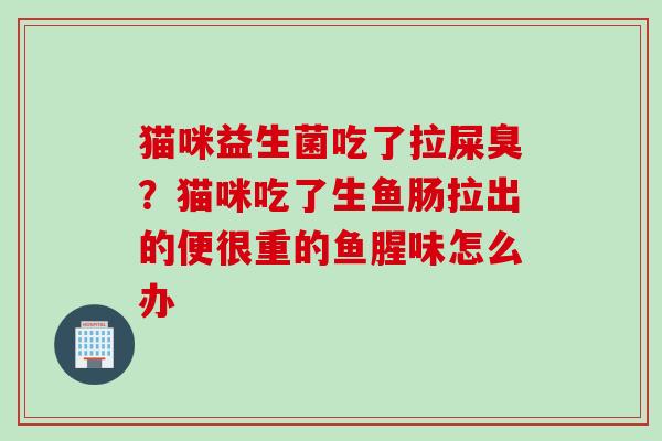 猫咪益生菌吃了拉屎臭？猫咪吃了生鱼肠拉出的便很重的鱼腥味怎么办
