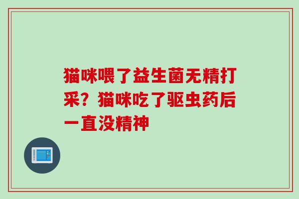 猫咪喂了益生菌无精打采？猫咪吃了驱虫药后一直没精神