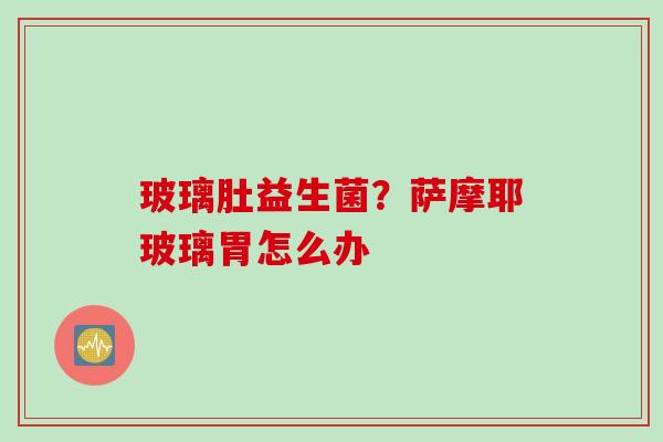 玻璃肚益生菌？萨摩耶玻璃胃怎么办