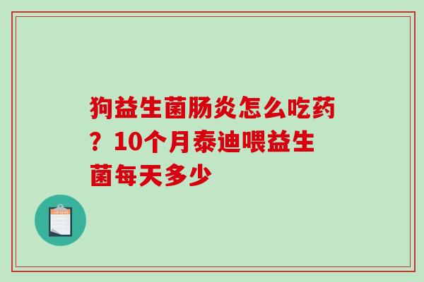 狗益生菌怎么吃药？10个月泰迪喂益生菌每天多少