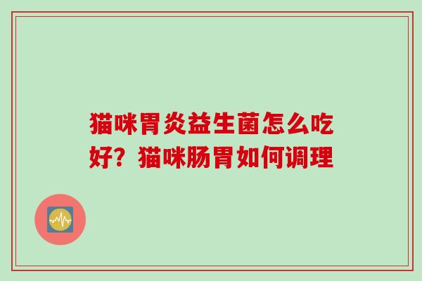 猫咪胃炎益生菌怎么吃好？猫咪肠胃如何调理