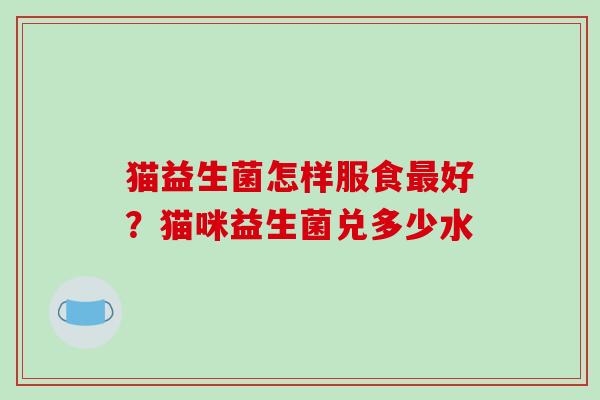 猫益生菌怎样服食好？猫咪益生菌兑多少水