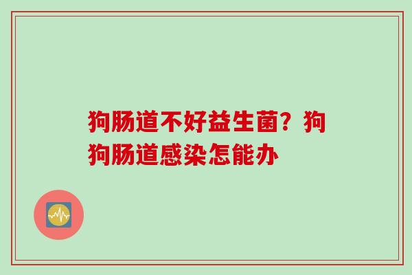 狗肠道不好益生菌？狗狗肠道怎能办