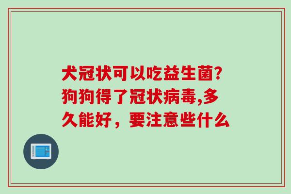 犬冠状可以吃益生菌？狗狗得了冠状,多久能好，要注意些什么