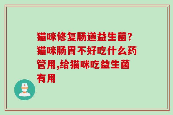 猫咪修复肠道益生菌？猫咪肠胃不好吃什么药管用,给猫咪吃益生菌有用