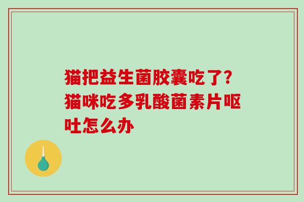猫把益生菌胶囊吃了？猫咪吃多乳酸菌素片呕吐怎么办