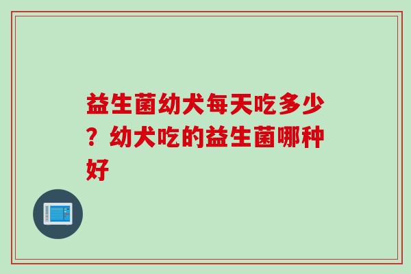 益生菌幼犬每天吃多少？幼犬吃的益生菌哪种好