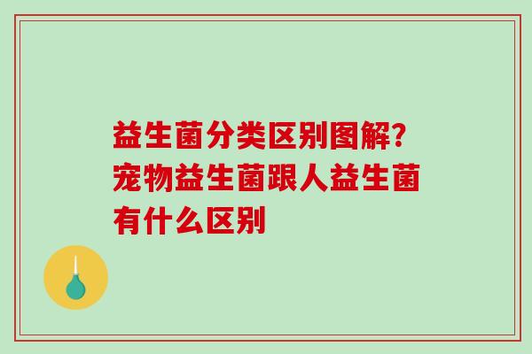 益生菌分类区别图解？宠物益生菌跟人益生菌有什么区别