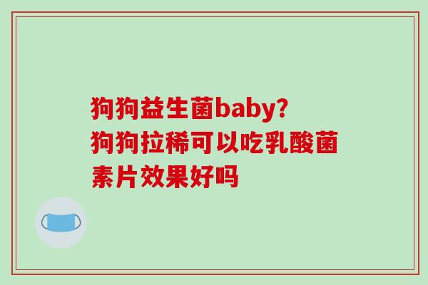 狗狗益生菌baby？狗狗拉稀可以吃乳酸菌素片效果好吗