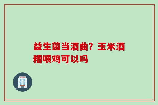 益生菌当酒曲？玉米酒糟喂鸡可以吗