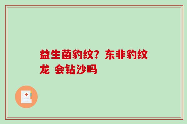 益生菌豹纹？东非豹纹龙 会钻沙吗