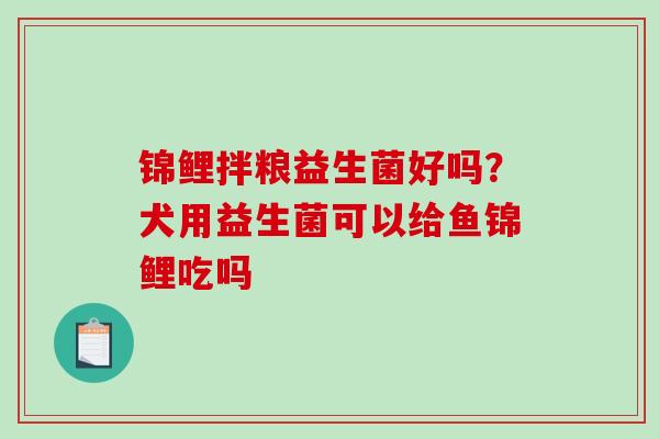 锦鲤拌粮益生菌好吗？犬用益生菌可以给鱼锦鲤吃吗