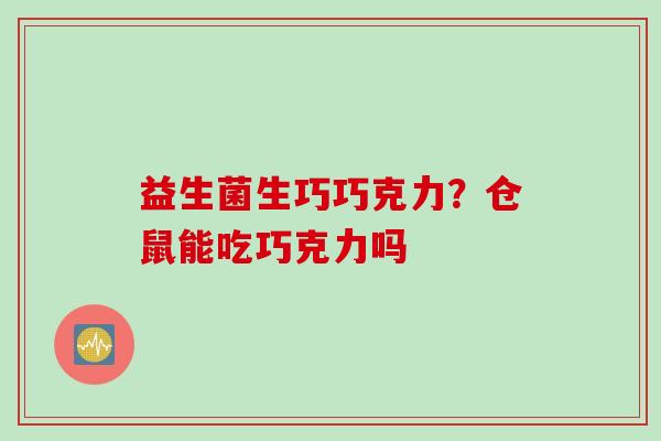 益生菌生巧巧克力？仓鼠能吃巧克力吗