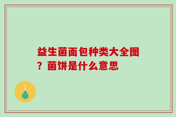 益生菌面包种类大全图？菌饼是什么意思