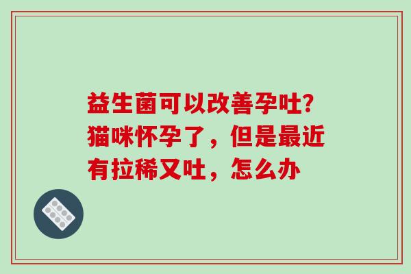 益生菌可以改善孕吐？猫咪怀孕了，但是最近有拉稀又吐，怎么办