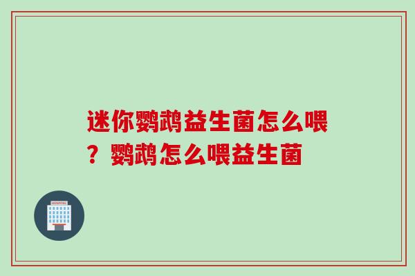 迷你鹦鹉益生菌怎么喂？鹦鹉怎么喂益生菌