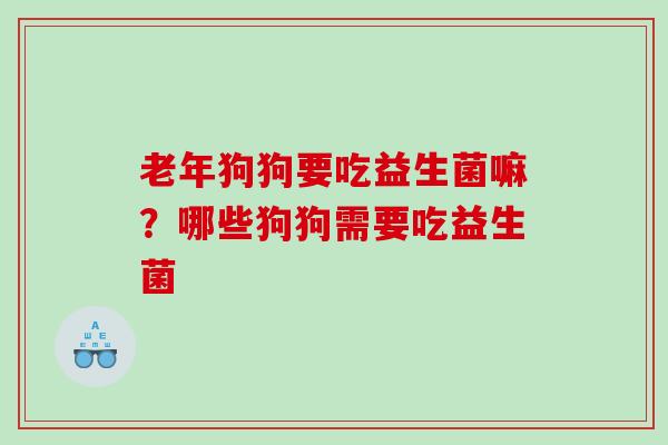 老年狗狗要吃益生菌嘛？哪些狗狗需要吃益生菌