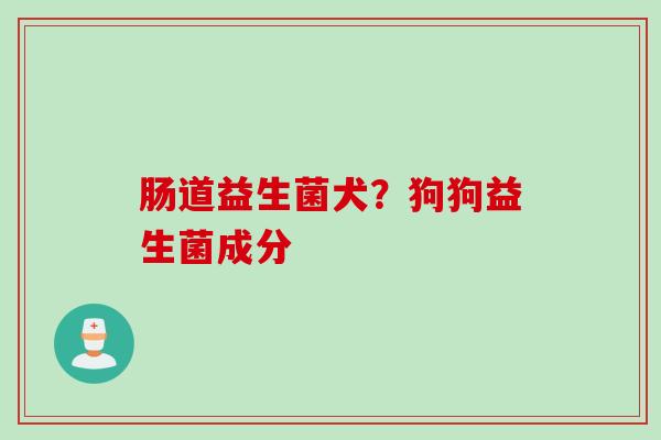 肠道益生菌犬？狗狗益生菌成分