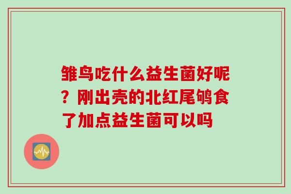 雏鸟吃什么益生菌好呢？刚出壳的北红尾鸲食了加点益生菌可以吗