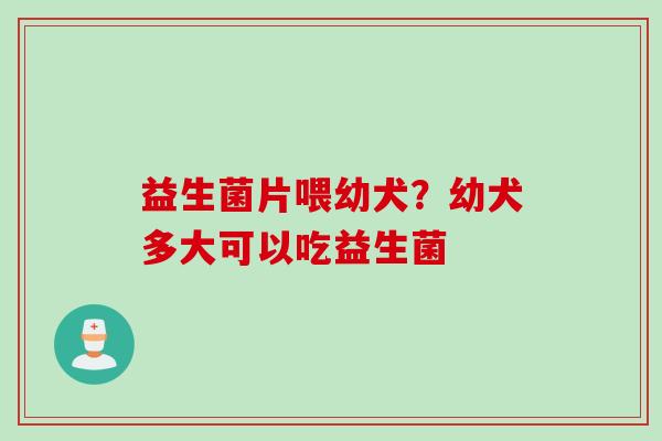 益生菌片喂幼犬？幼犬多大可以吃益生菌