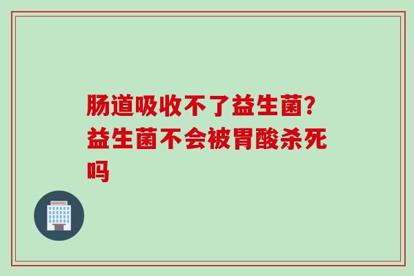 肠道吸收不了益生菌？益生菌不会被胃酸杀死吗